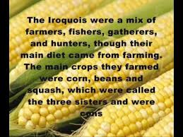 Iroquois Indians Food Iroquois David And Pradeep American Culture Food Food Indian Native American Food Native American Culture Native Americans Unit