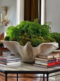 Beach house decor, luxury coastal themed decor, nautical home accents, beach decor shop, coastal living boutique, tropical island home decor, ocean. 13 Giant Clam Shell Decor Ideas Shell Decor Giant Clam Shell Giant Clam