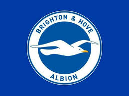 @mickrbrown (michael richard brown)'s music profile | letsloop. Brighton Hove Albion Fire Manager Chris Hughton