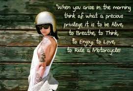 Pin By Dk Custom Products On Quotes Riding Biker Quotes Inspiration Biker Quotes