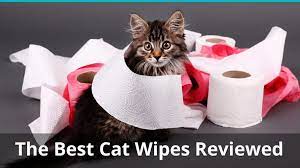 She gets upset about it but i can't just wait till she feels like doing it herself. The Best Cleaning Wipes For Cats Reviews Ratings In 2021
