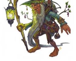 Forest gnomes