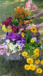 Traverse city is the county seat of grand traverse county. Old Mission Flowers