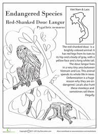 Endangered Species Red Shanked Douc Langur Worksheet Education Com Endangered Species Endangered Animals Lessons Endangered