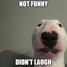 More memes are coming don't worry. Not Funny Didn T Laugh Notfunnydidntlaugh