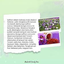 Sudah tentu bahasa arab mereka jauh lebih fasih. Female Bismillah Asal Usul Safron Saffron Facebook