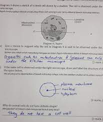 We did not find results for: Answers For Structured Question In Vas Bio Tutorials Facebook