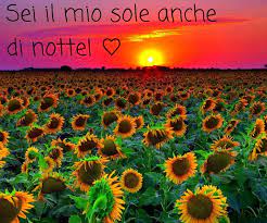 Sei il mio sole anche di notte, di amy harmon, era nella mia libreria digitale da chissà quanto. Facebook