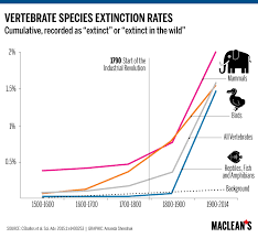 infographic charting the worlds sixth mass extinction