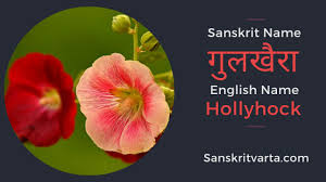 50 List Of Flowers Name In Sanskrit Language And Hindi With Pictures Sanskrit Learnsanskrit Sanskr In 2020 Sanskrit Beautiful Flower Names Flowers Name In English