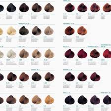 Aveda Hair Color Chart Online In 2019 Aveda Hair Color