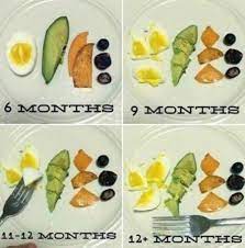 baby led weaning baby led weaning first foods baby led weaning recipes baby first foods