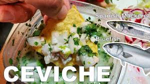 Maybe you would like to learn more about one of these? Spanish Mackerel And Bluefish Tacos Catch And Cook Youtube