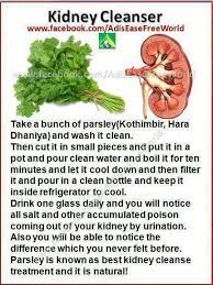 I M Not Sure About This Can It Hurt Anybody Know For Sure Juicingbible Health Remedies Kidney Detox Holistic Health