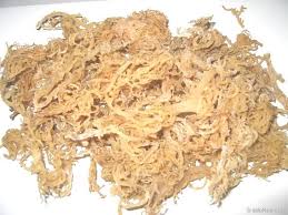 Check spelling or type a new query. Seaweed Cottonii Rumpai Laut Kering By Saj Technology Innovations Malaysia