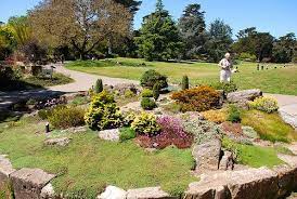 San Francisco Botanical Garden Botanical Gardens Japanese Garden Forest Plants