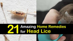21 Natural Remedies For Head Lice