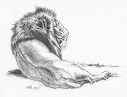 By carrie lewis in art tutorials > drawing tips if you work with colored pencil for any length of time, chances are good you'll be drawing hair at some point. 20 Inspiration Pencil Drawing Art Photos Art Drawing Pencil Hardness Scale