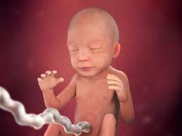 Veja sobre o tamanho da barriga e como está o desenvolvimento do desenvolvimento do bebê. Desenvolvimento Fetal 22 Semanas De Gravidez Babycenter