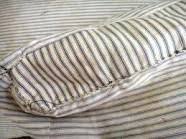 Feather Tick Ticks My Nest Feather