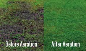 Coring aerator versus spiking aerator. Lawn Care Services Essex Creative Scapes Lawn Services