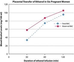 It might help to prevent what ever is left in your stomach from entering your blood stream. Prenatal Alcohol Exposure Blood Alcohol Concentrations And Alcohol Elimination Rates For The Mother Fetus And Newborn Journal Of Perinatology