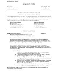 Traditional 2 Resume Format In 2020 Lebenslauf Anschreiben