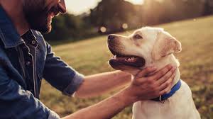 Chad's primary focus is the day to day operations of the business. Taking Pet Food To A Premium Level