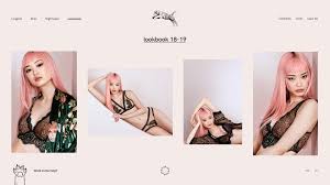 Wild Kitty — Lookbook by mashiqo on Dribbble