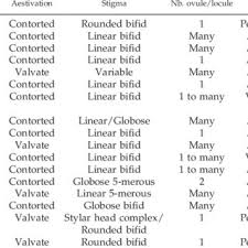 Image result for Multidentia concrescens