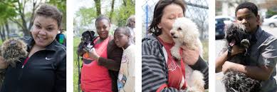 Maybe you would like to learn more about one of these? Pets For Life Animal Rescue League Of Iowa