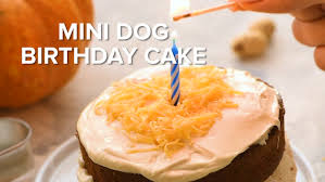 These tutorials don't require any fancy cake pans or we are including a video tutorial that shows you how to make an easy dog cake plus some matching cupcakes. Mini Dog Birthday Cake The Almond Eater