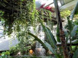 Universität potsdam botanischer garten maulbeerallee 2 14469 potsdam. 18 Botanische Garten Mit Gewachshausern In Deutschland