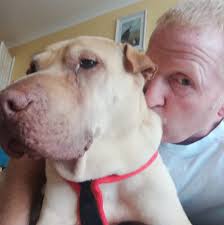 Good evening, I am looking for a female decorator to quote 4 bedrooms,  dinner/ lounge, conservatory, 2 bathrooms + hallway . Please message me.  Mthx