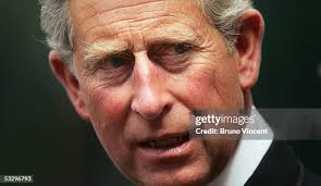 1.813 fotos e imágenes de alta resolución de Charles Bruno