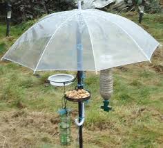 Bird Feeder Protection From Squirrels Image Detail For Have Become Quite Jealous Of The Next Door Neighbours Bird Feeder Homemade Bird Feeders Bird Feeder Station Bird House Feeder