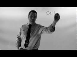 Check spelling or type a new query. Ks3 Year 7 Cells Sraalepmet Youtube