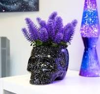 Plantenpot In De Vorm Van Een Schedel | Goods