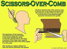 How to cut your own hair at home like a pro. Pin On Hair Dos