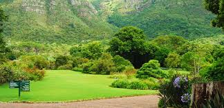 Seit 2014 führt der 130 meter lange baumwipfelpfad zwölf meter über dem grünen meer des botanischen gartens kirstenbosch durch die baumkronen. School Excursion Kirstenbosch Botanical Gardens Boorhaanol Islam Movement