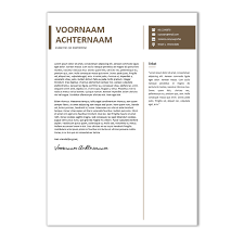 Strak Design Cv Word Nodig 7 95 Cv Voorbeelden Nl