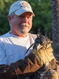 Scottsdale bald eagles take flight
