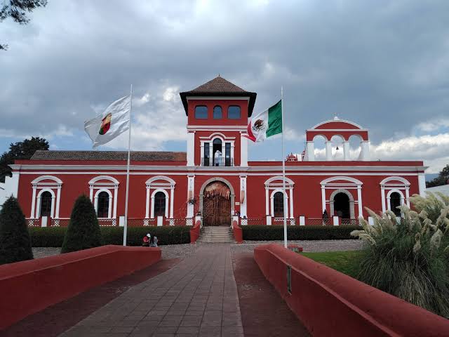 Venados