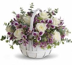 Maybe you would like to learn more about one of these? Fortino S Flower Club