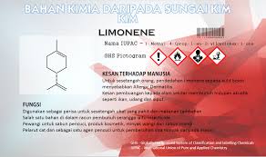 Berpunca daripada aktiviti manusia yang tidak bertanggungjawab. Bahan Kimia Yang Dibuang Di Dalam Sungai Kim Kim Majalahsains