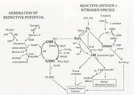 N Acetylcysteine Nac