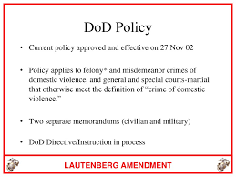 The Lautenberg Amendment Ppt Download