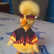 Isaac Stowe (IsaacDStowe)