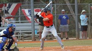 St. Francis DeSales Baseball Alumni — SFD Stallion Pride