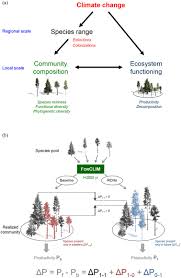 long term response of forest productivity to climate change